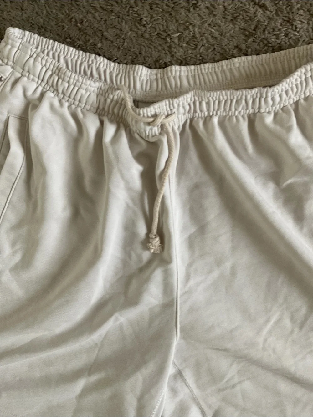 Nike Standard Issue Men's size XL pre own DQ5712-030 Terry Knit Shorts Zip Pocke
